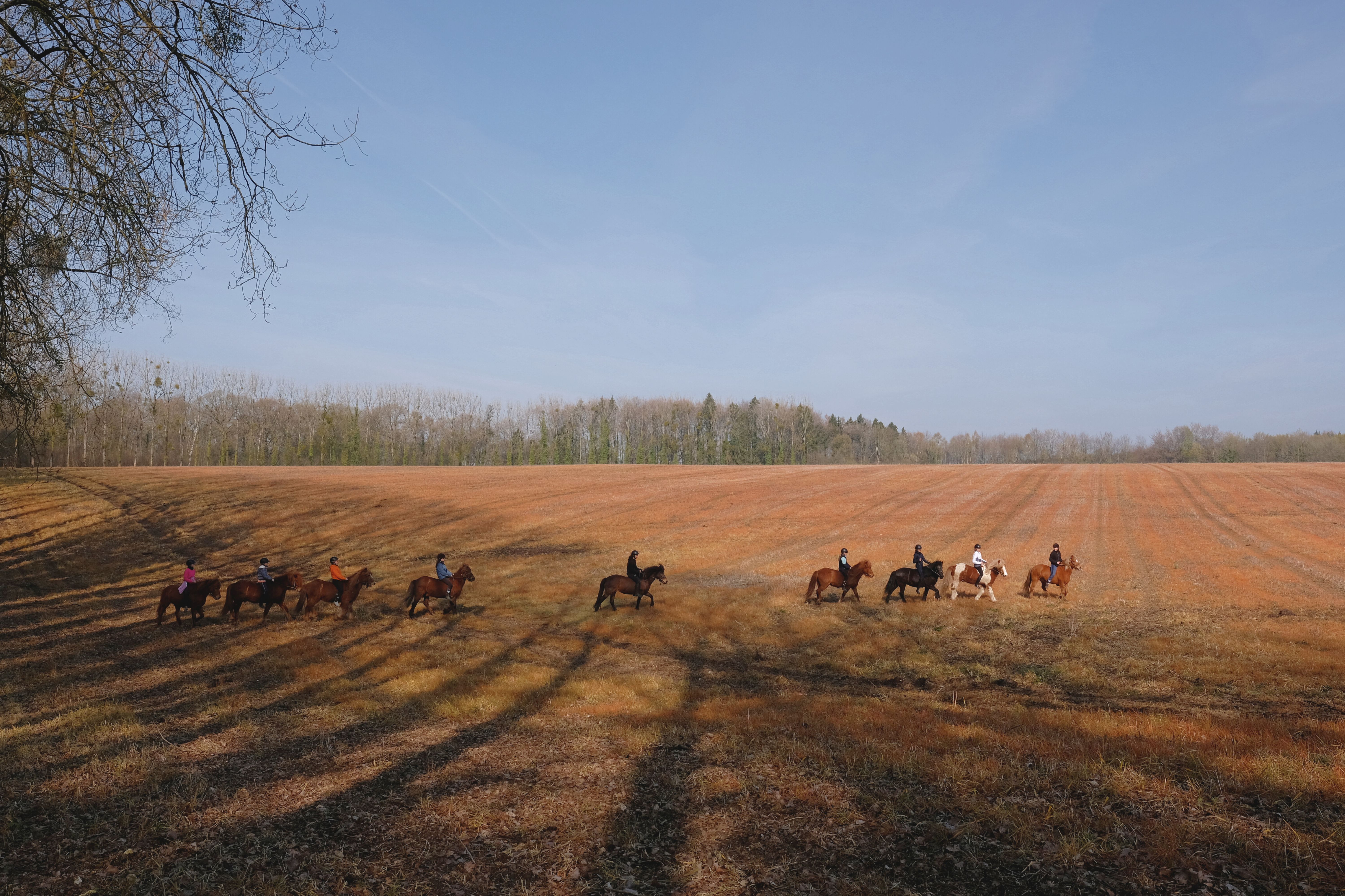 Stage équestre pour adolescent avec randonnée dans le bocage normand
